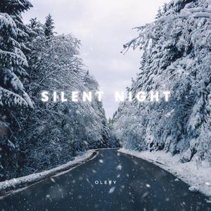 Silent Night (Acoustic Indie Version)