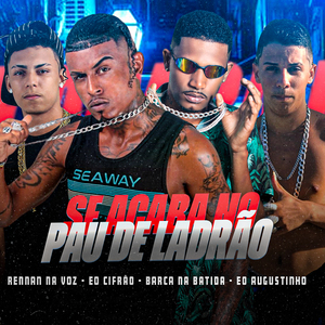 Se Acaba no Pau de Ladrão