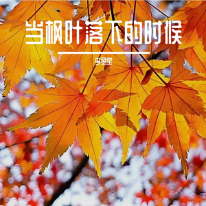 当枫叶落下的时候