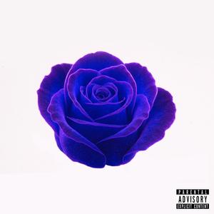 UV ROSE (feat $keim)