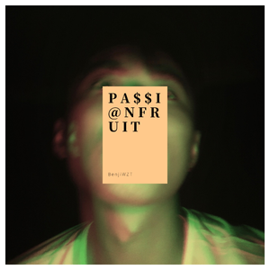 Various Artists-D R A K E - P A S S I O N F R U I T (Benji Remix)（BenjiWZT remix）