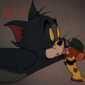 墙头草（Prod.TravkoBeat）