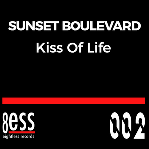 Kiss Of Life (D-Soriani Soulful Remix)