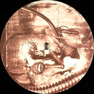 Relativité Du Sommeil Paradoxal