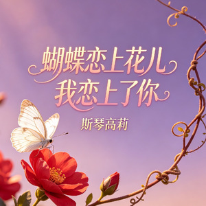 蝴蝶恋上花儿我恋上了你