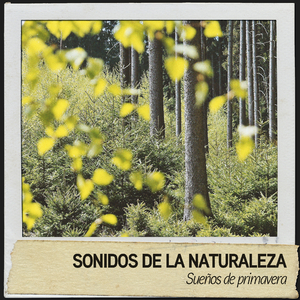 Sonidos relajantes del bosque