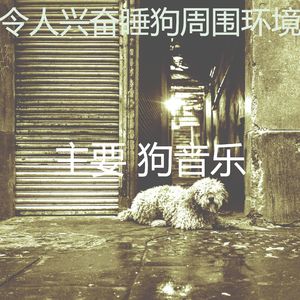 一尘不染训练犬印象数