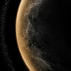 monachopsis (存在错位)