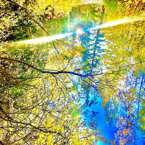 Vessel to Vapor (feat. Orpheo McCord)