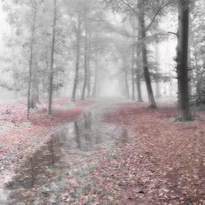 Fluid Melodies