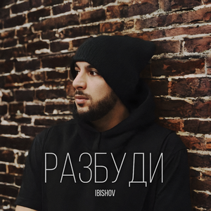 Разбуди