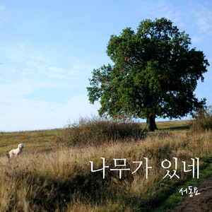 나무가있네