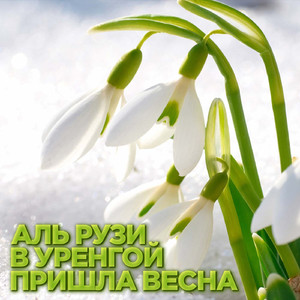 В Уренгой пришла весна