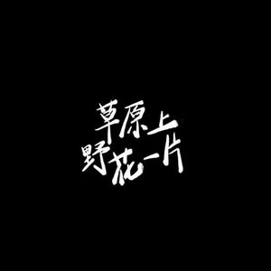 10草原上野花一片