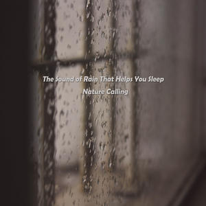 도심에 내리는 비