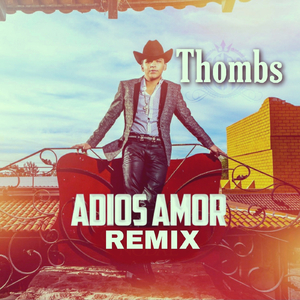 Adios Amor (Remix)