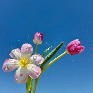 风止在休止符（古筝）