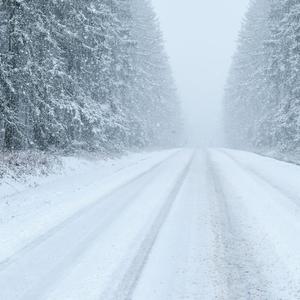 走在雪地上（Walking In The Snow）