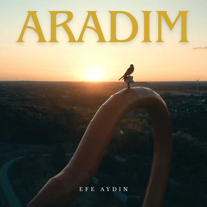 Aradım
