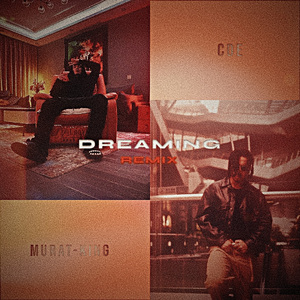 DREAMING (Remix)