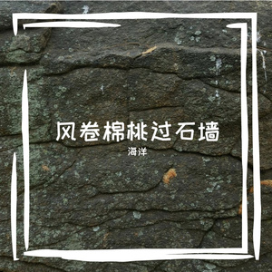 式泳谜攘纬召谫坏