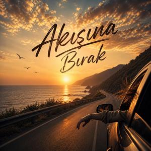 AKIŞINA BIRAK