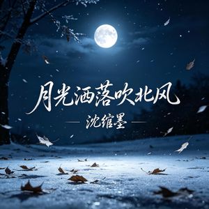 月光洒落吹北风