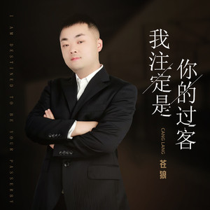 我注定是你的过客
