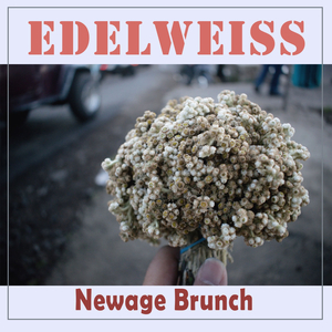 에델바이스 (뉴에이지 피아노 Ver.)