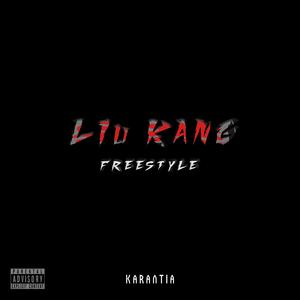 Liu Kang Freestyle