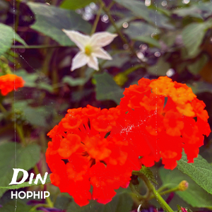 Din