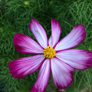 너대로 너답게 (As You Truly Are)