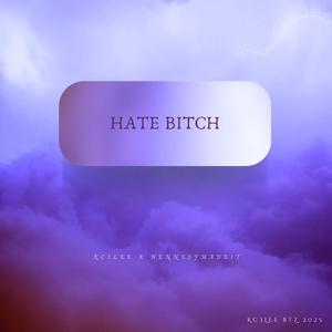 Hate Bitch