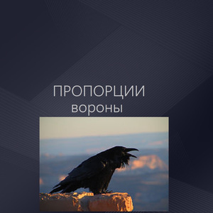 Вороны