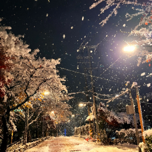 여름밤