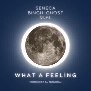 What A Feeling (feat. 9LFE, Binghi Ghost & Nohokai)