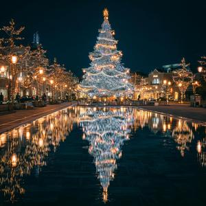 クリスマスの街角でひと息