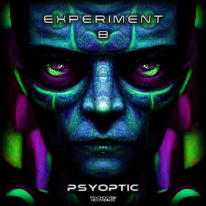 Experiment 8