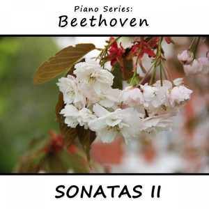 Sonata No. 14 in Des Major, Opus 27 No. 2: III. Presto Agitato (Mondscheinsonate, Sonata quasi una Fantasia)