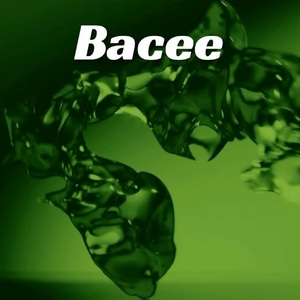 [不免费]--Bacee--*Brazilian Funk*_Type Beat