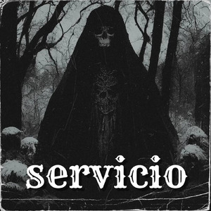 servicio