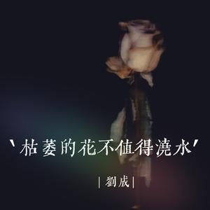 枯萎的花不值得浇水（0.8x）