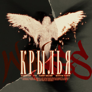 Крылья (Beat by tennywhite)