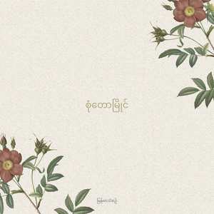 စုံတောမြိုင်