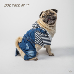 Look Back At It