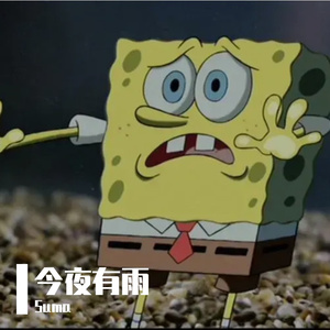 今夜有雨