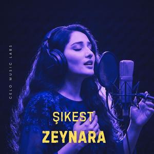 Şikest