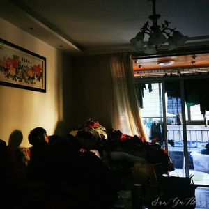 他们我真的不喜欢