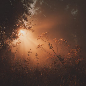 さよならの余韻