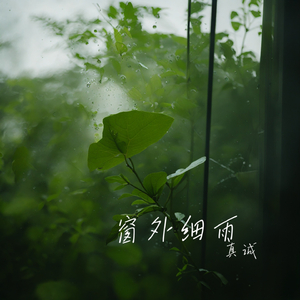 窗外细雨